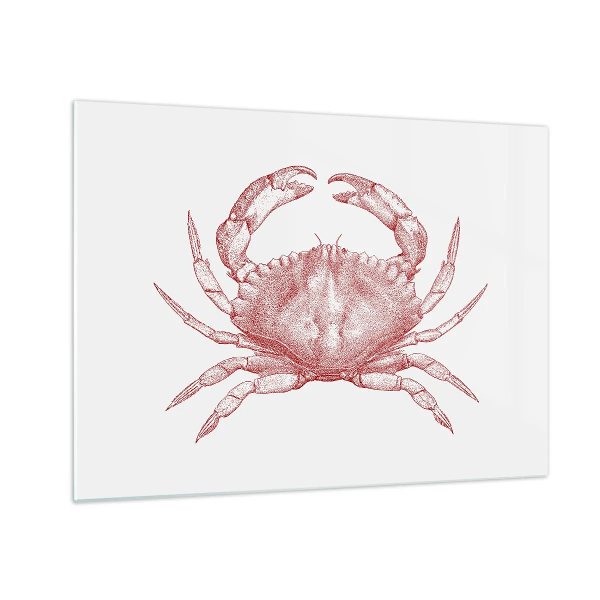 Tablou pe sticlă - Schiță a unui crab roșu pe un fundal deschis în stil retro - 70x50cm - Crab peste crabi - Decorațiune modernă pentru perete pentru living și dormitor ARTTOR