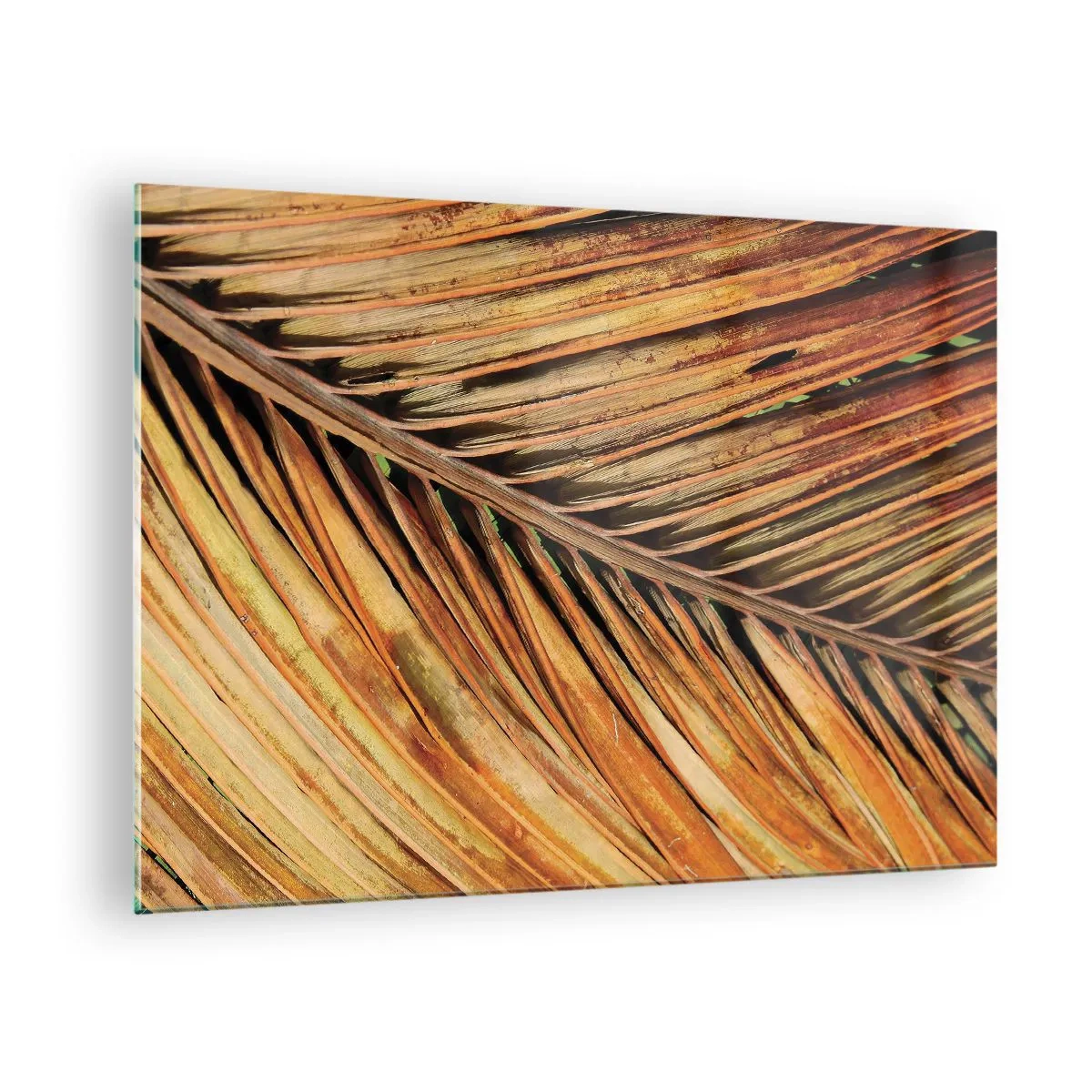 Tablou pe sticlă - Prim-plan al frunzelor uscate și aurii de palmier - 70x50cm - Aur de nucă de cocos - Decorațiune modernă pentru perete pentru living și dormitor ARTTOR
