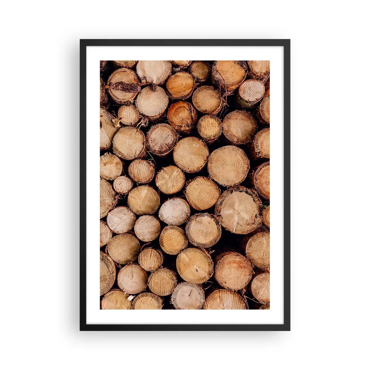 Poster în ramă neagră - Trunchiuri de copaci tăiate natural într-un aranjament artistic - 50x70cm - Un nou început - Decorațiune modernă pentru perete pentru living și dormitor ARTTOR