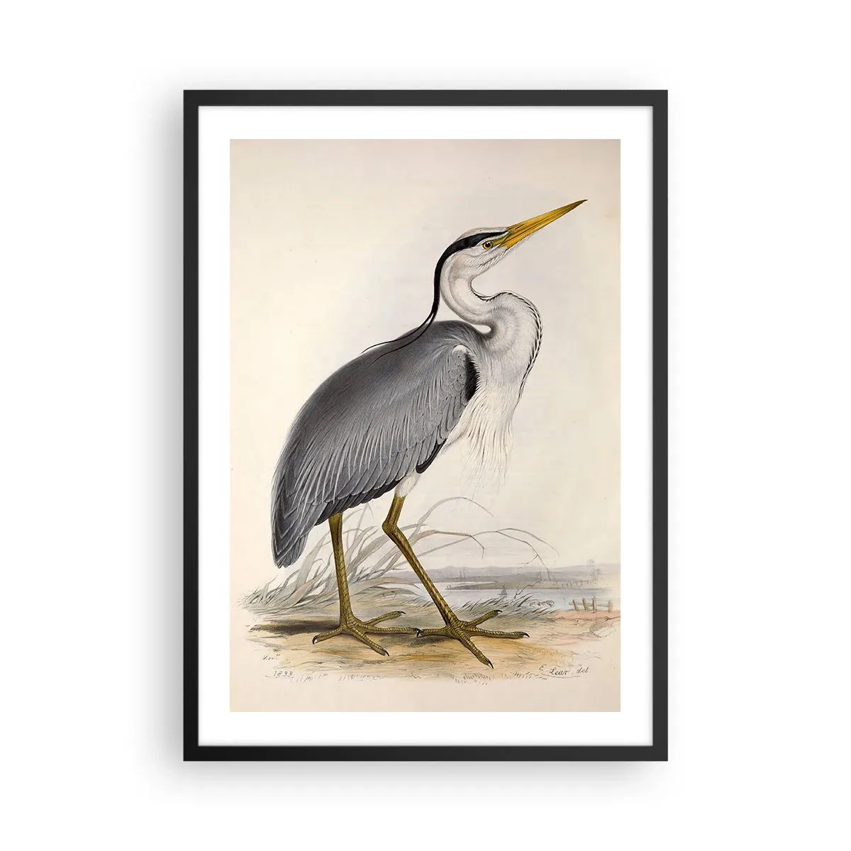 Poster în ramă neagră - Harul lui Heron - 50x70cm - Farmecul unui stârc - Decorațiune modernă pentru perete pentru living și dormitor ARTTOR