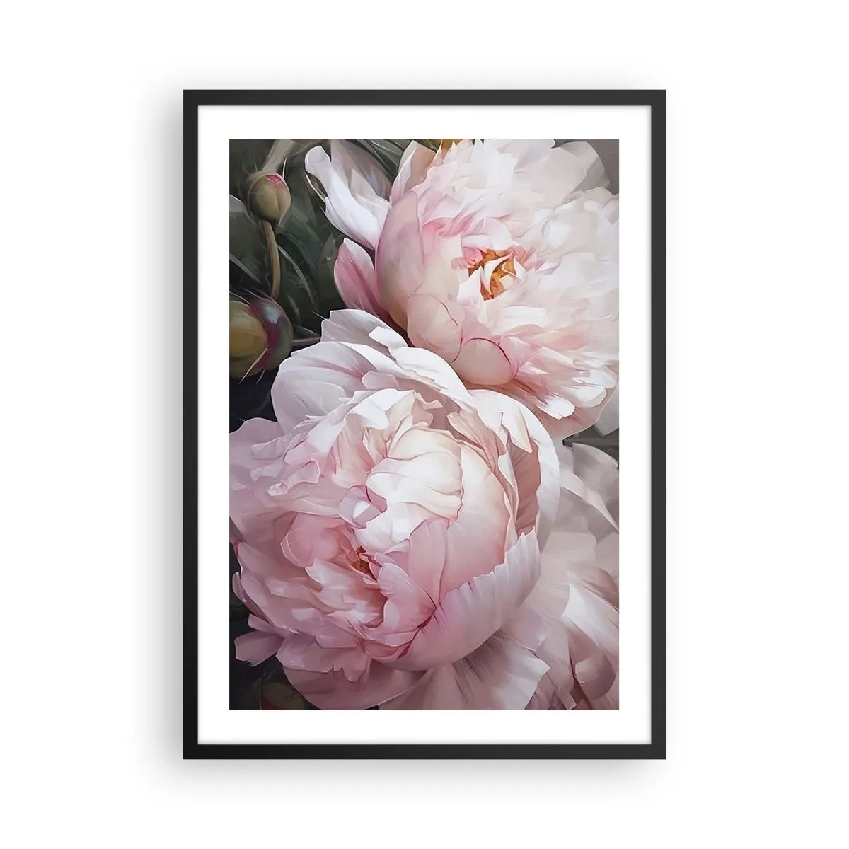 Poster în ramă neagră - Bujori delicați în nuanțe pastelate de roz și alb - 50x70cm - Oprit din înflorire - Decorațiune modernă pentru perete pentru living și dormitor ARTTOR