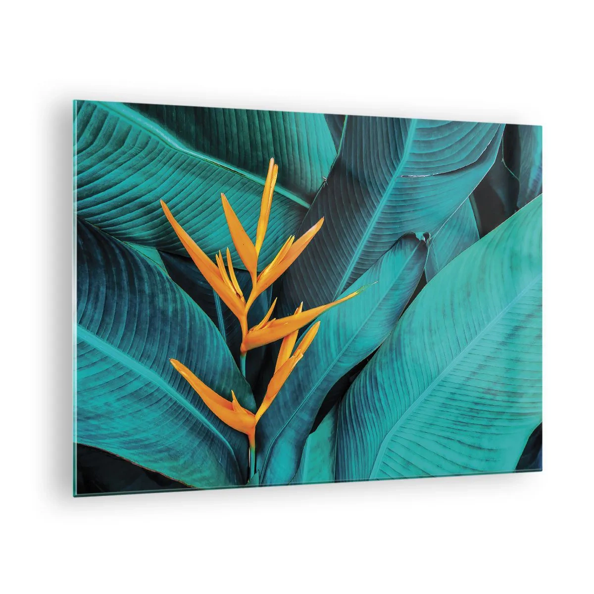 Tablou pe sticlă - O floare exotică pe un fundal de frunze mari și verzi. - 70x50cm - Floarea Edenului - Decorațiune modernă pentru perete pentru living și dormitor ARTTOR