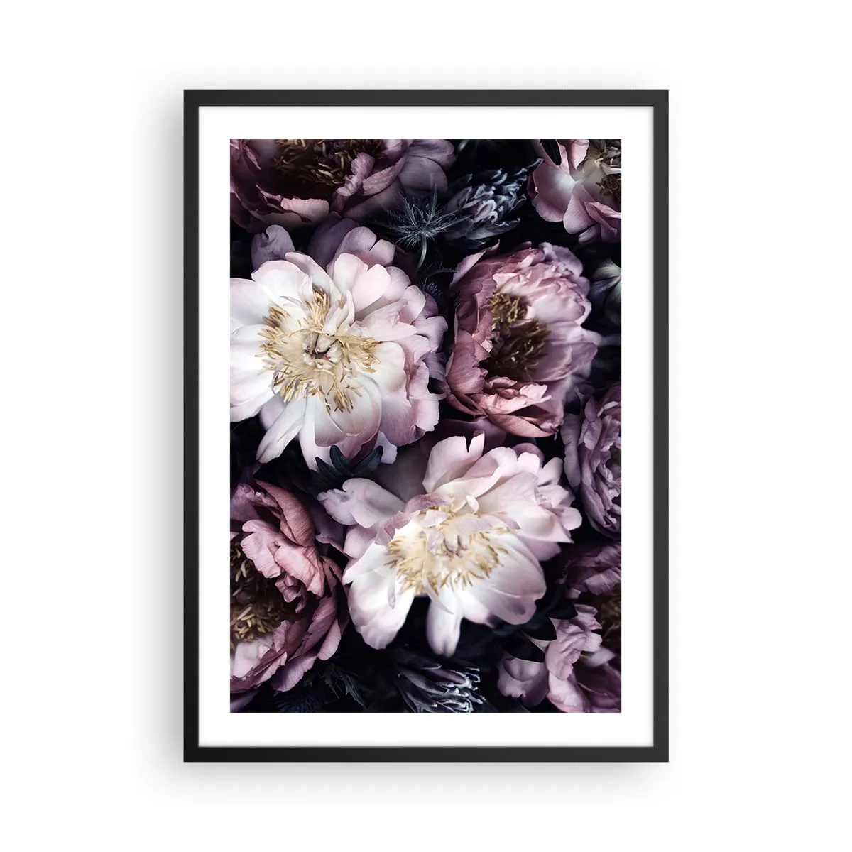 Poster în ramă neagră - Flori delicate de bujor în culori estompate - 50x70cm - Buchet în stil vechi - Decorațiune modernă pentru perete pentru living și dormitor ARTTOR