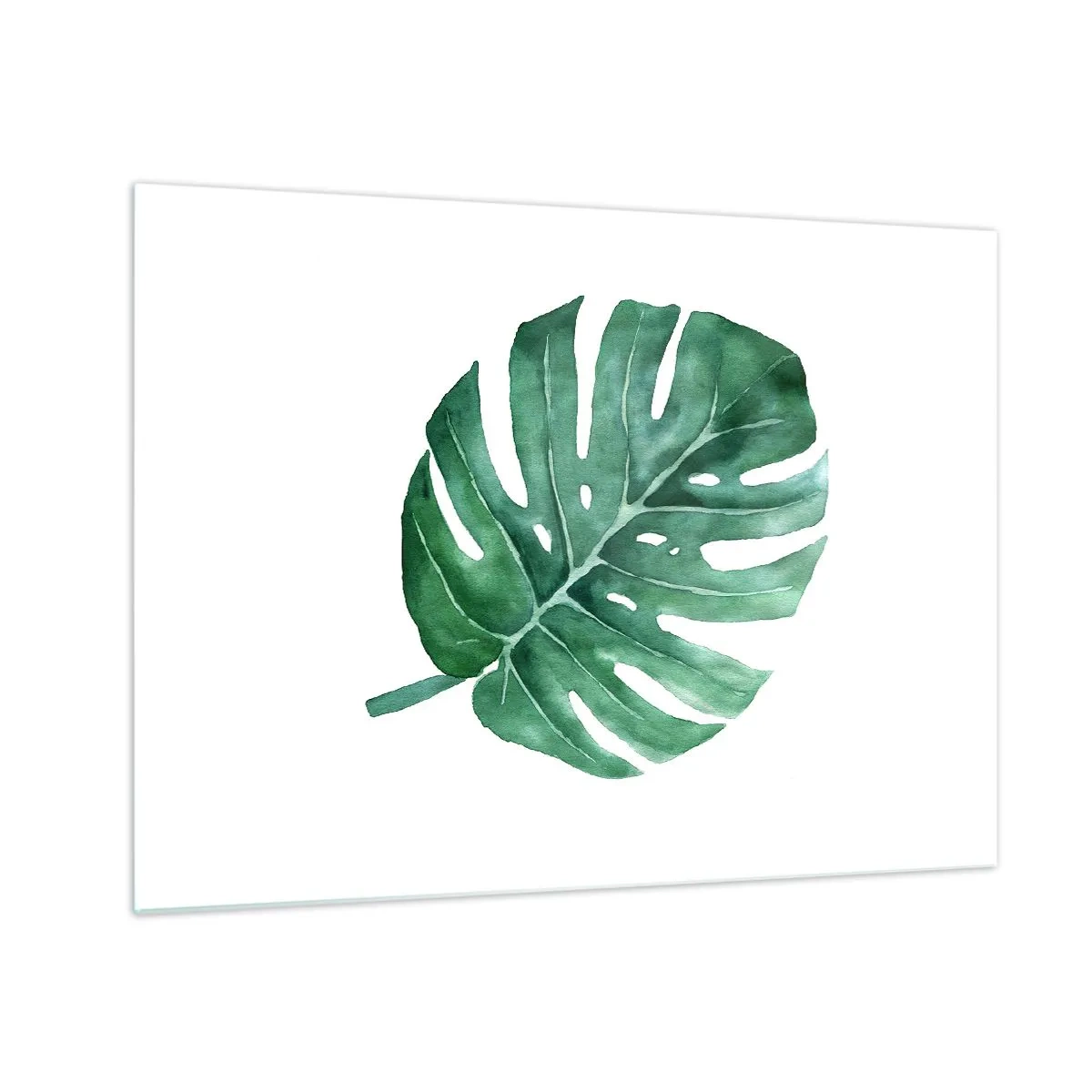 Tablou pe sticlă - Frunză verde de monstera pe fundal alb - 70x50cm - Conceptul verde - Decorațiune modernă pentru perete pentru living și dormitor ARTTOR