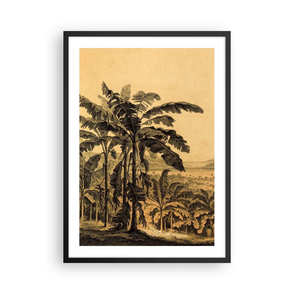 Poster în ramă neagră - Ilustrație cu palmieri pe fundalul unui peisaj tropical - 50x70cm - În stil colonial - Decorațiune modernă pentru perete pentru living și dormitor ARTTOR