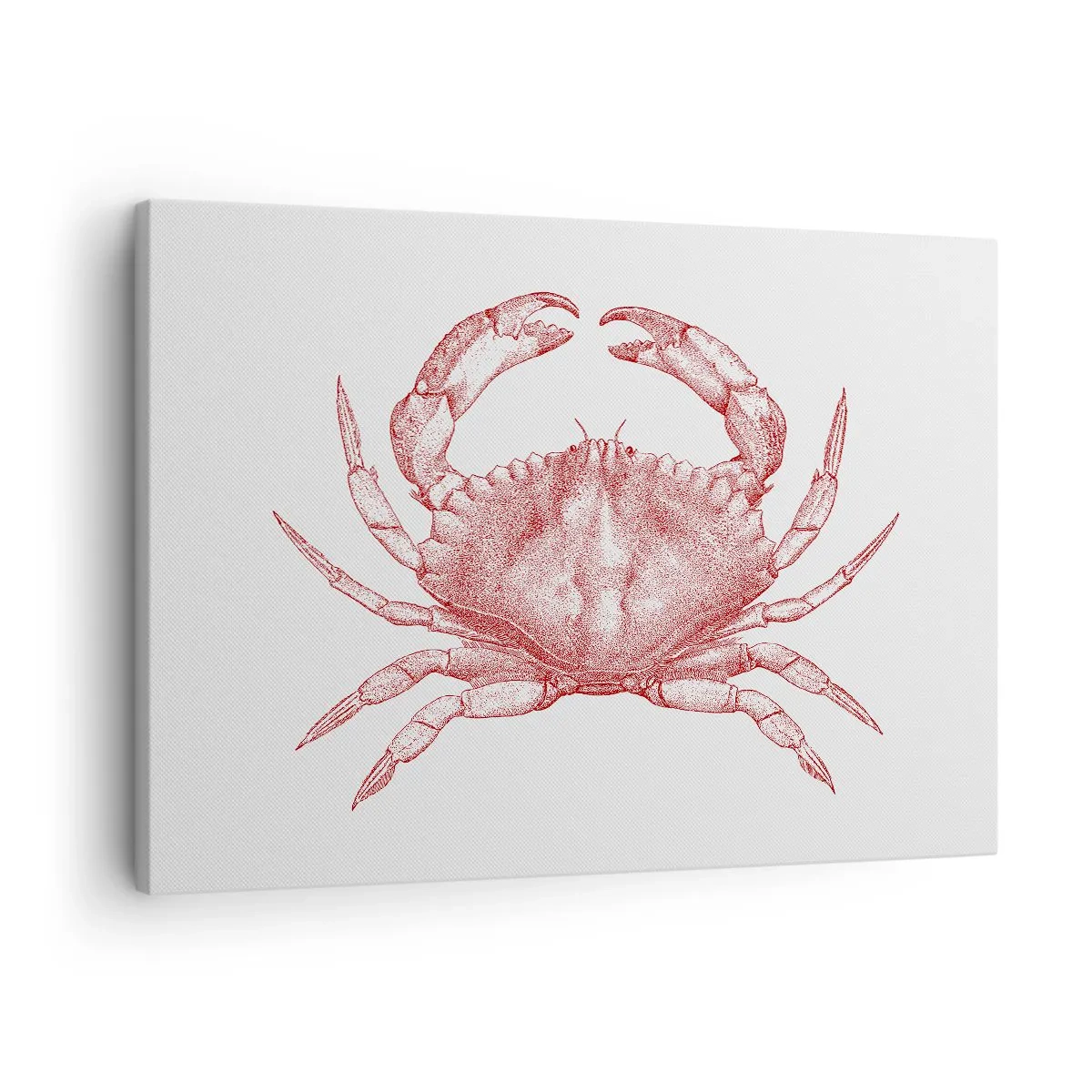 Tablou pe pânză Canvas - Desenul unui crab într-o nuanță roșie - 70x50cm - Crab peste crabi - Decorațiune modernă pentru perete pentru living și dormitor ARTTOR