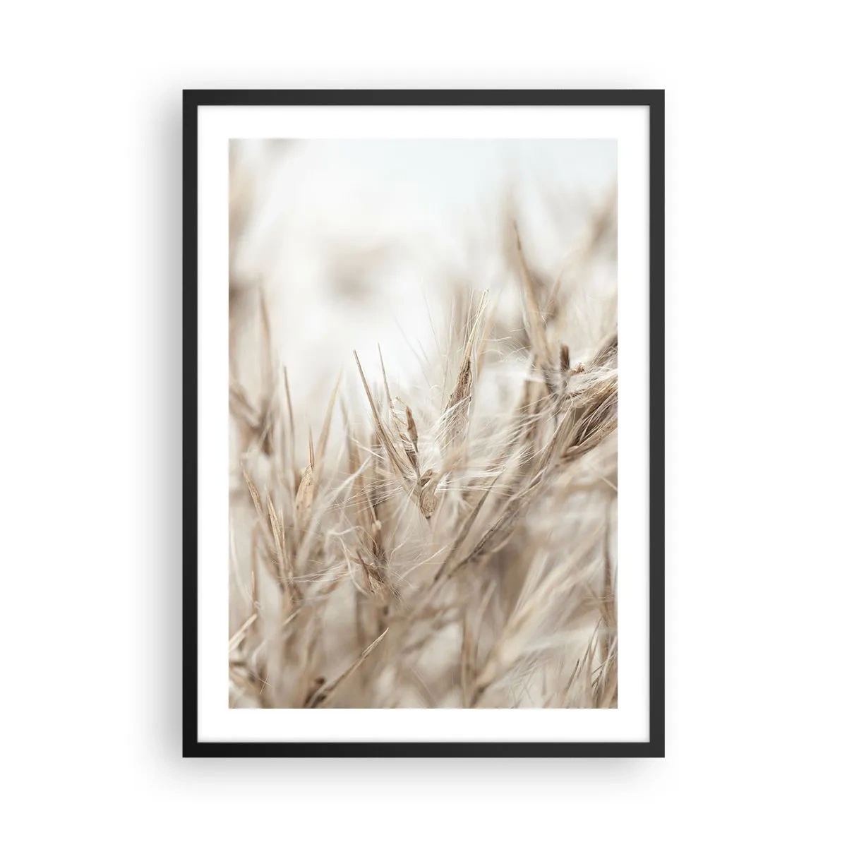 Poster în ramă neagră - Țepi delicați de iarbă bej - 50x70cm - Pajiște și vânt - Decorațiune modernă pentru perete pentru living și dormitor ARTTOR