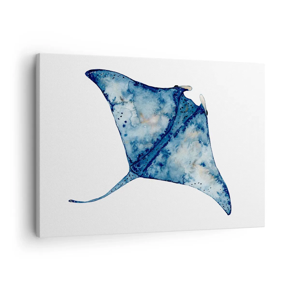 Tablou pe pânză Canvas - Stingray albastru în stil acuarelă pe fundal alb - 70x50cm - Viața în albastru - Decorațiune modernă pentru perete pentru living și dormitor ARTTOR