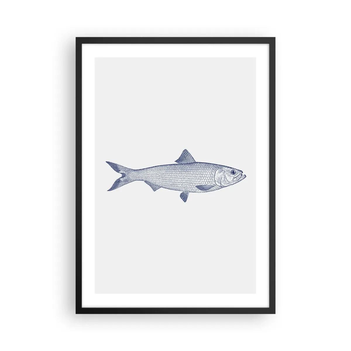 Poster în ramă neagră - Ilustrație minimalistă de pește vintage - 50x70cm - Salutări din mările nordice - Decorațiune modernă pentru perete pentru living și dormitor ARTTOR