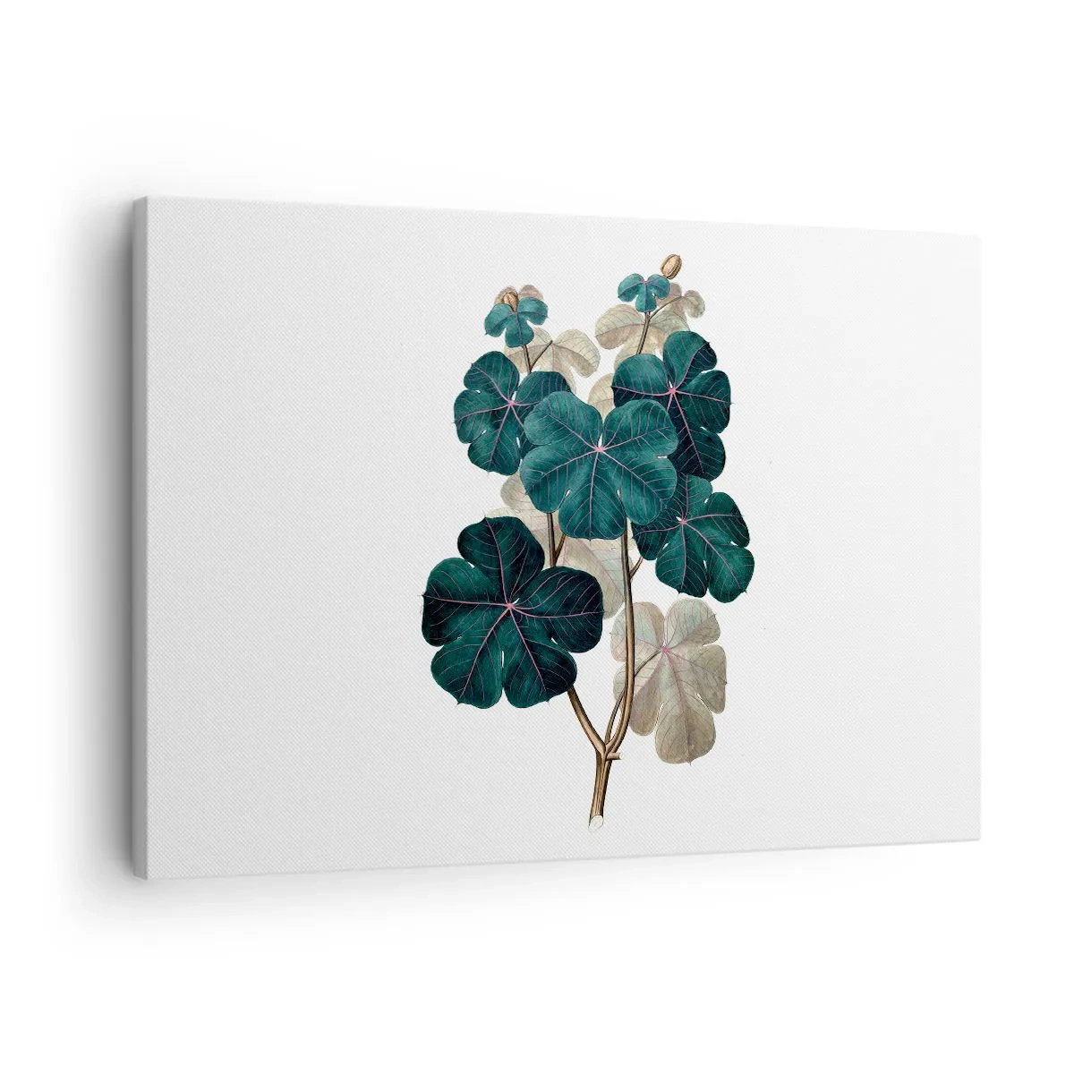 Tablou pe pânză Canvas - Ilustrație botanică cu frunze în nuanțe de verde și bej - 70x50cm - Dintr-un vechi ierbar - Decorațiune modernă pentru perete pentru living și dormitor ARTTOR