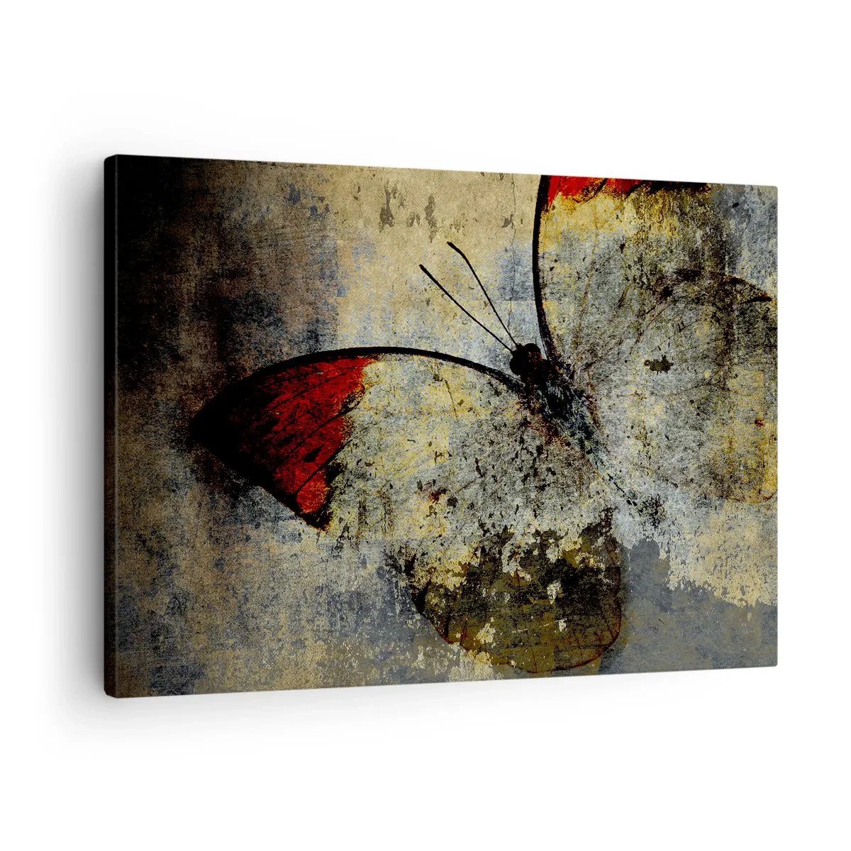 Tablou pe pânză Canvas - Un fluture în nuanțe de roșu și gri pe un fundal texturat - 70x50cm - Privește înainte să dispar - Decorațiune modernă pentru perete pentru living și dormitor ARTTOR