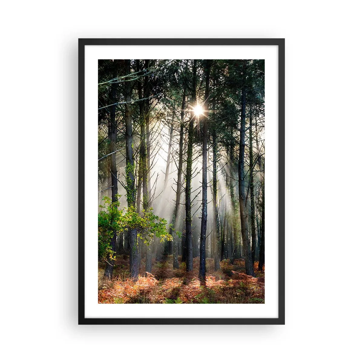 Poster în ramă neagră - Raze magice de soare în peisajul pădurii - 50x70cm - Pădure sălbatică - Decorațiune modernă pentru perete pentru living și dormitor ARTTOR