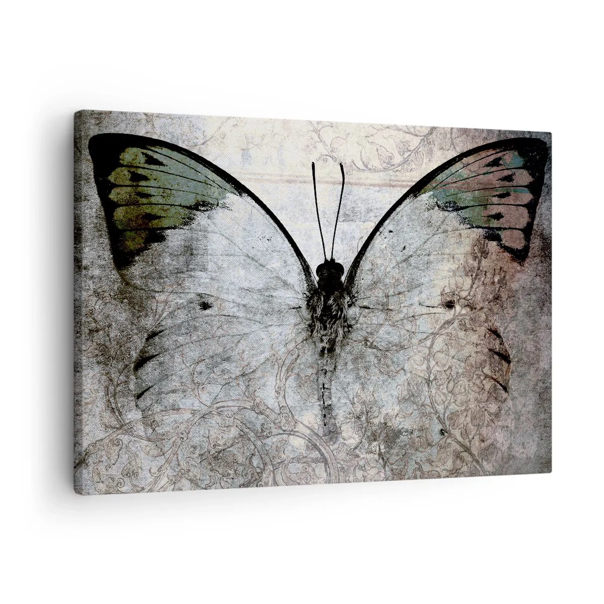 Tablou pe pânză Canvas - Un fluture în nuanțe de verde și gri pe un fundal decorativ - 70x50cm - În decorul Art Nouveau - Decorațiune modernă pentru perete pentru living și dormitor ARTTOR