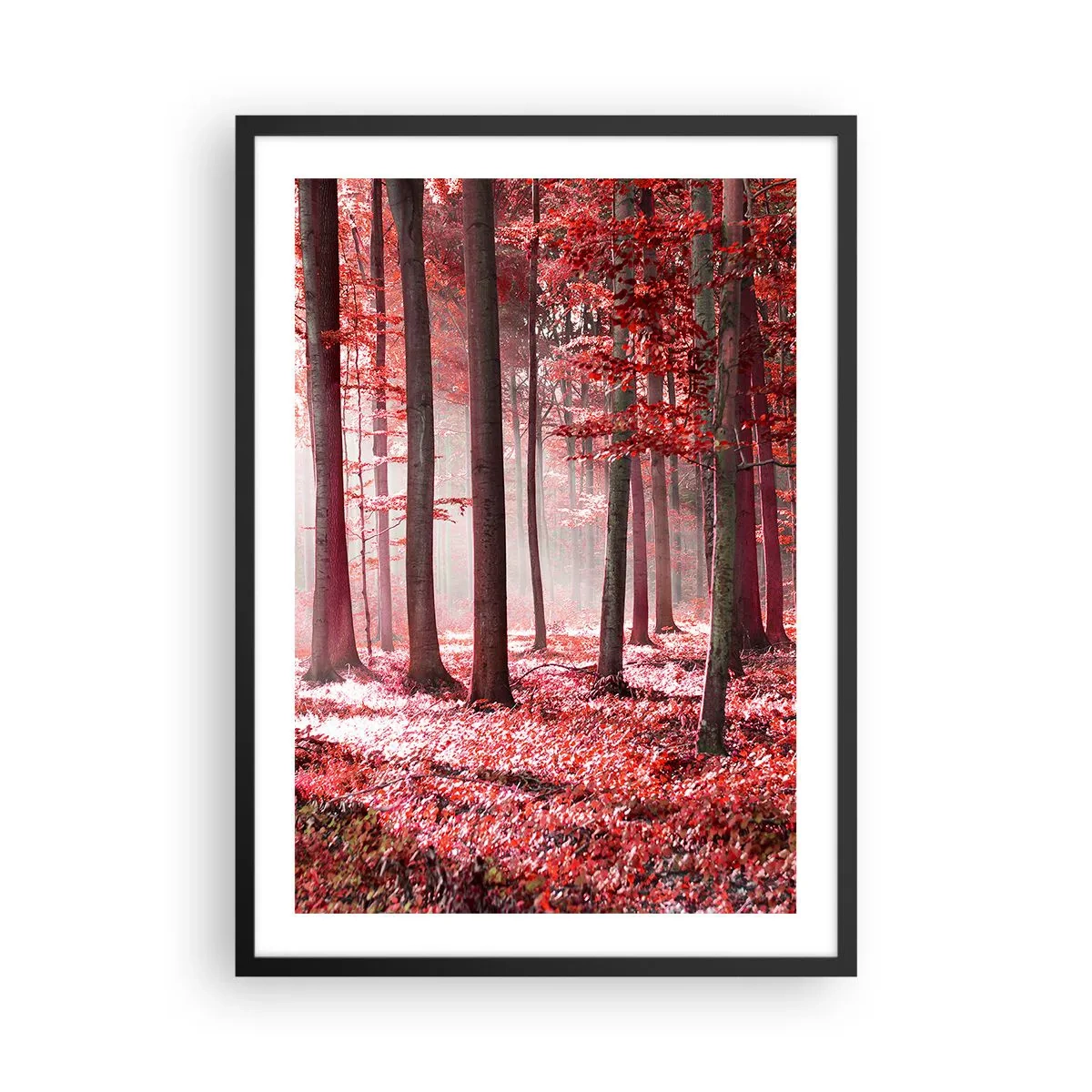 Poster în ramă neagră - O pădure cu frunze roșii și ceață dimineața - 50x70cm - Roșie este la fel de frumoasă - Decorațiune modernă pentru perete pentru living și dormitor ARTTOR