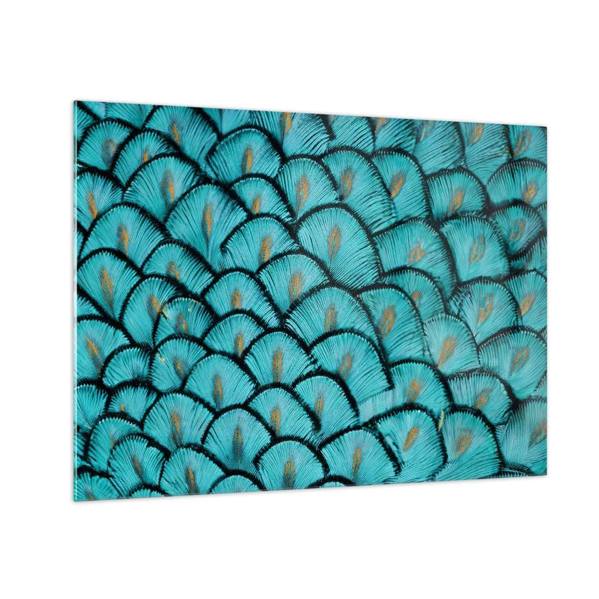 Tablou pe sticlă - Un prim-plan al pene de păun turcoaz care formează un model decorativ. - 70x50cm - Marea gală a penelor - Decorațiune modernă pentru perete pentru living și dormitor ARTTOR