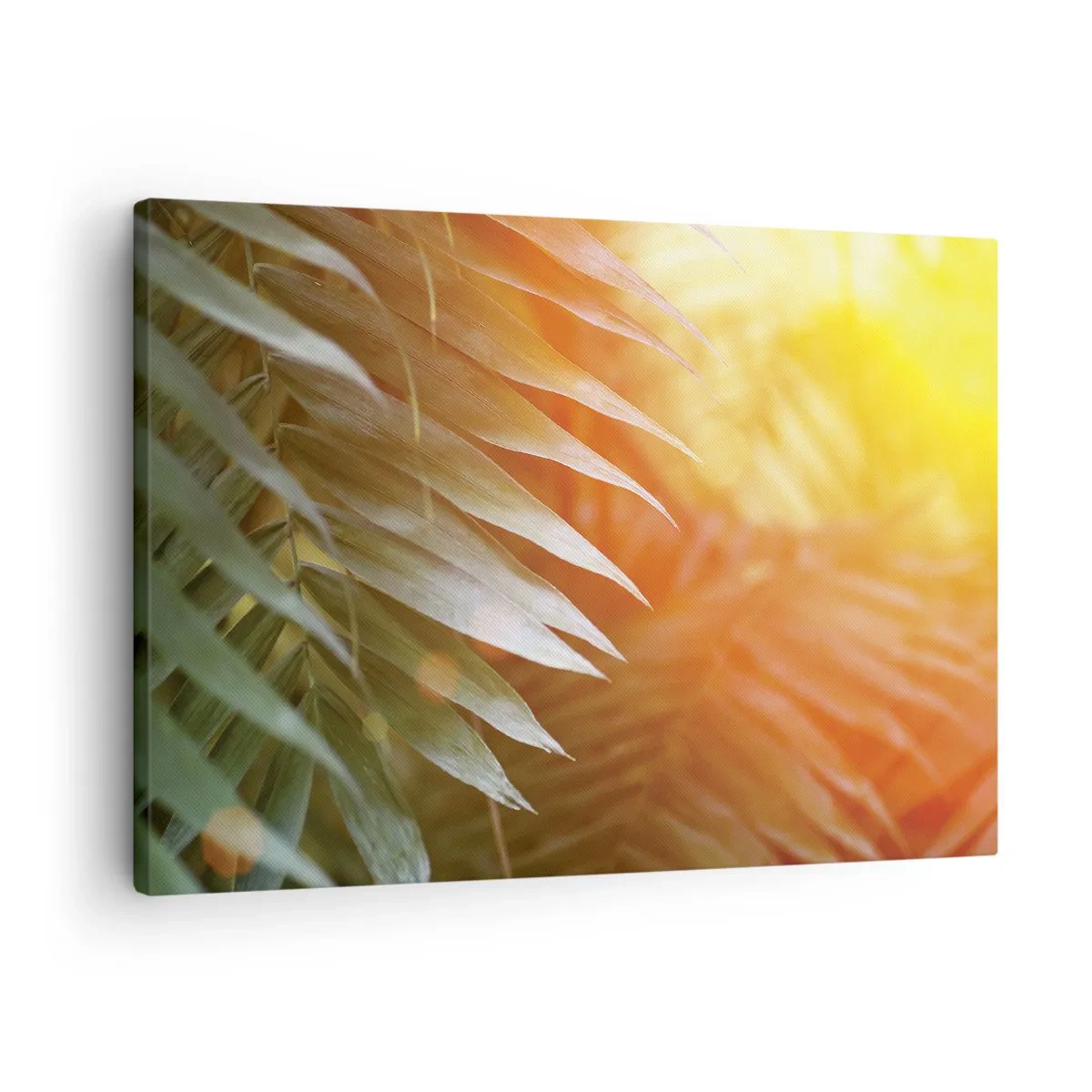Tablou pe pânză Canvas - Frunze de palmier în razele apusului - 70x50cm - Dimineață în junglă - Decorațiune modernă pentru perete pentru living și dormitor ARTTOR