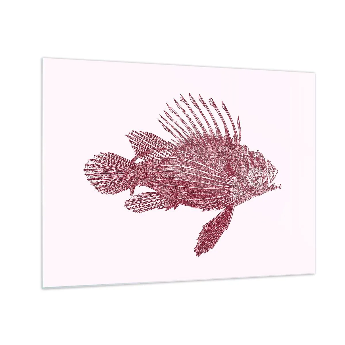 Tablou pe sticlă - Schiță a unui pește exotic în culoarea vișiniei pe un fundal deschis - 70x50cm - Un locuitor al apelor exotice - Decorațiune modernă pentru perete pentru living și dormitor ARTTOR