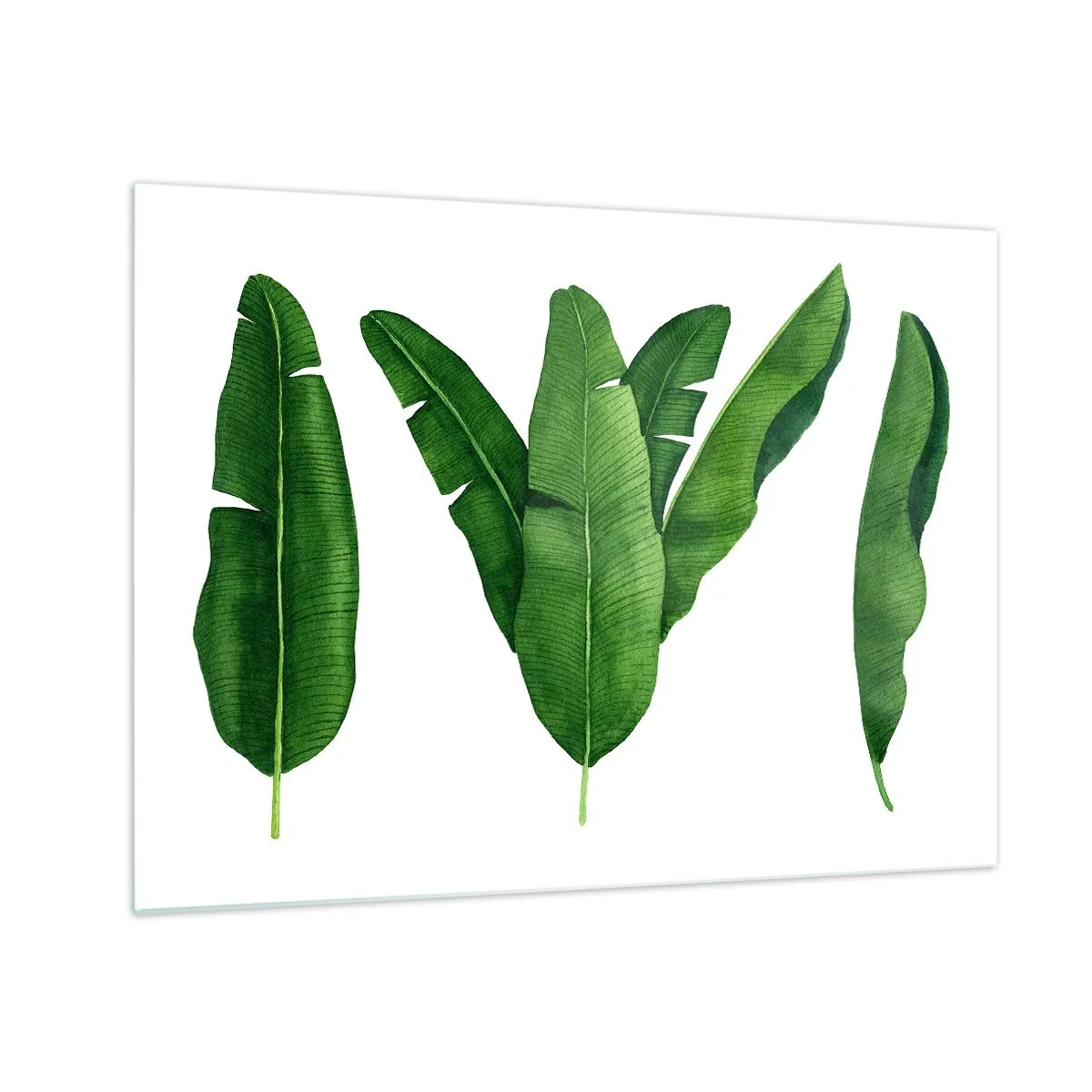 Tablou pe sticlă - Patru frunze verzi de bananier pe fundal alb - 70x50cm - Simetrie verde - Decorațiune modernă pentru perete pentru living și dormitor ARTTOR