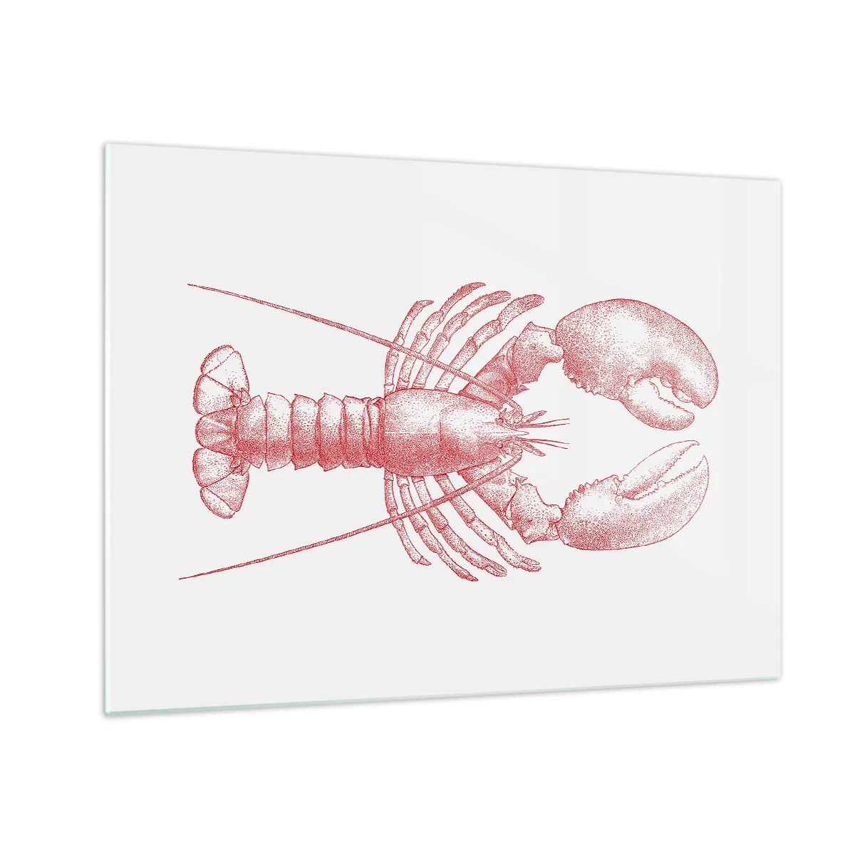 Tablou pe sticlă - Schiță a unui homar în roșu pe un fundal deschis - 70x50cm - Homar demn de Homer - Decorațiune modernă pentru perete pentru living și dormitor ARTTOR